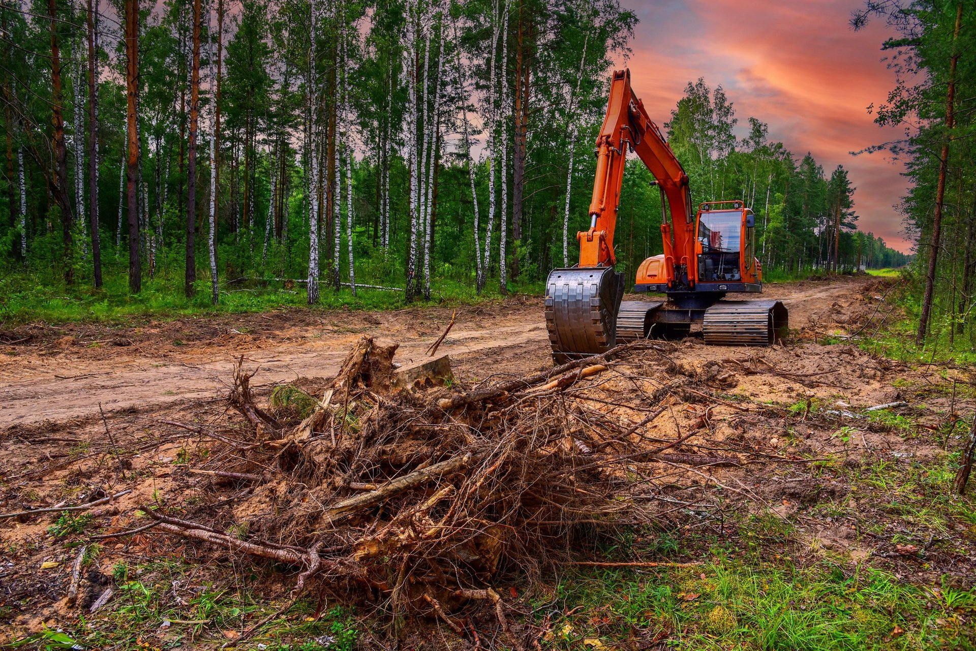 Excavator clearing overgrown vegetation and forest for development
