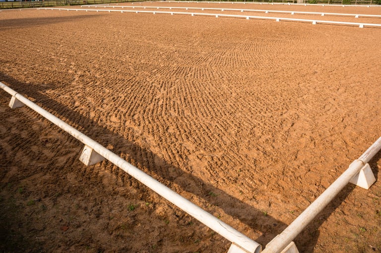 Equestrian arena with sand footing inside white railings